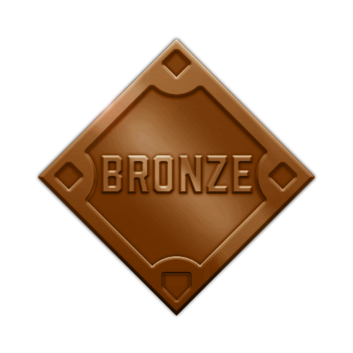 Bronze Medal